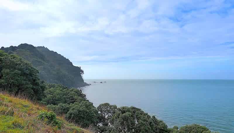 820 Thames Coast Road, Te Mata