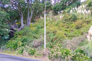 820 Thames Coast Road, Te Mata