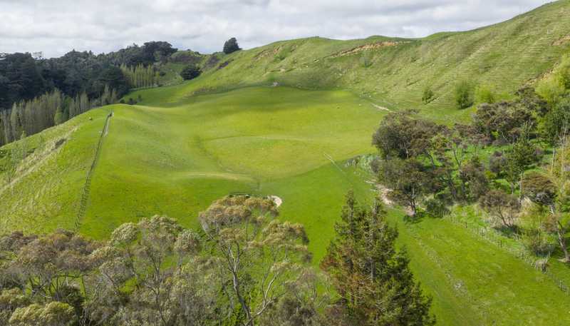 1250 Kaukatea Valley Road, Okoia