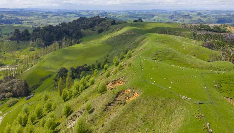1250 Kaukatea Valley Road, Okoia