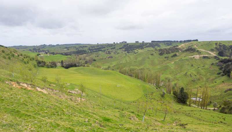 1250 Kaukatea Valley Road, Okoia