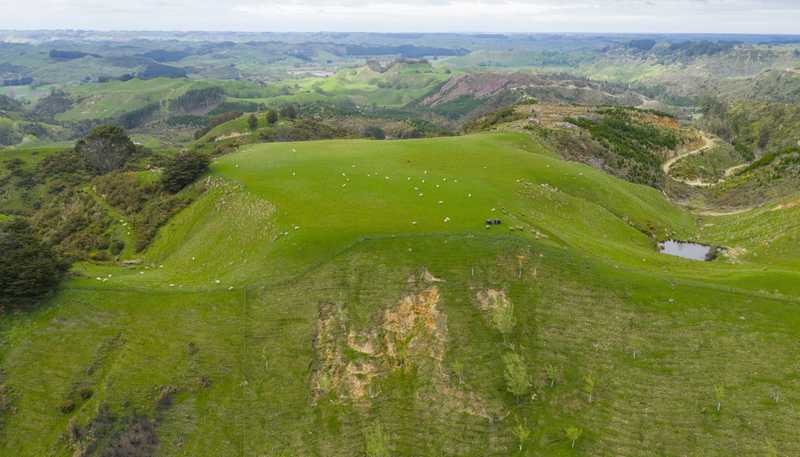 1250 Kaukatea Valley Road, Okoia