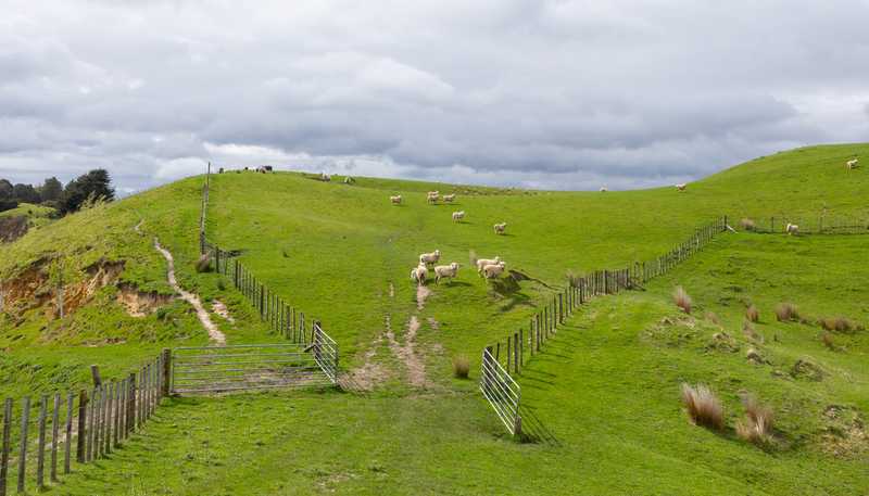 1250 Kaukatea Valley Road, Okoia