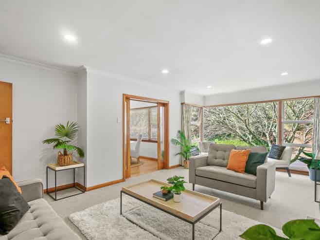 88 Carrington Street, Lower Vogeltown