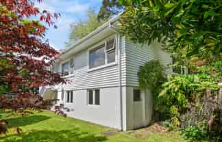 88 Carrington Street, Lower Vogeltown