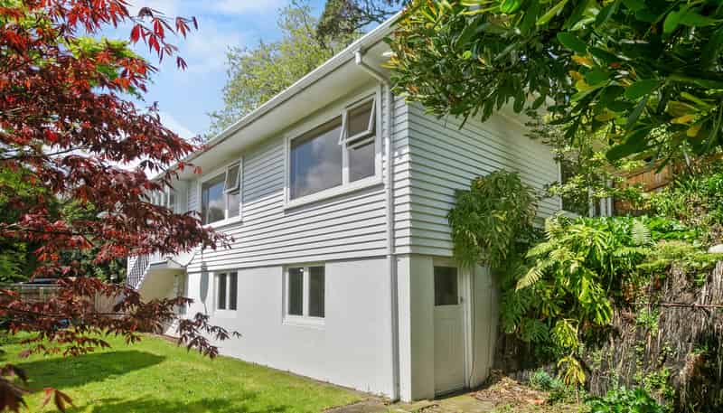 88 Carrington Street, Lower Vogeltown