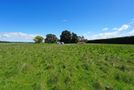 51 Mcpherson Road, North Otago, Waitaki, Otago