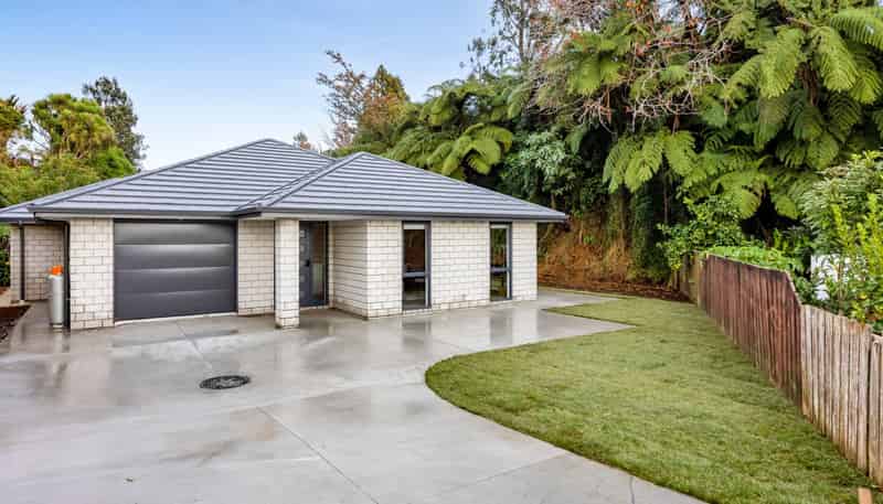 10A Winstone Place, Highlands Park
