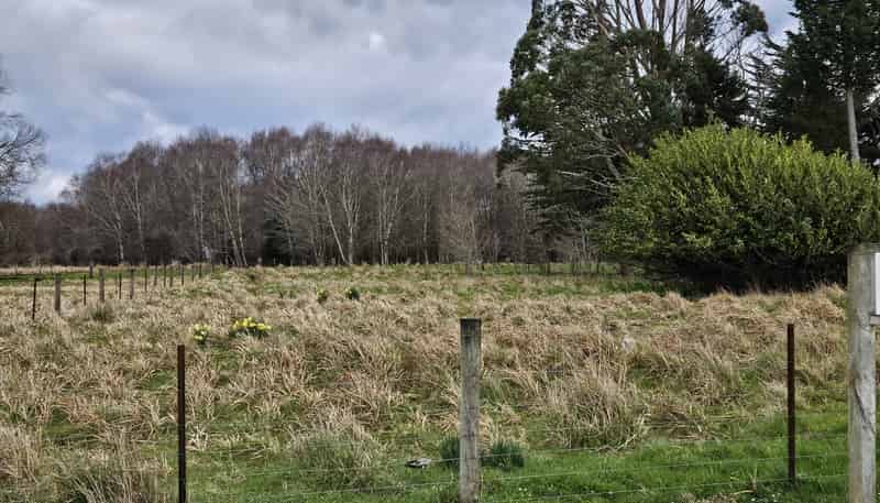 Lot 4 (DP 2758) Cnr Tahakopa Valley and Dewe Road, Tahakopa Valley