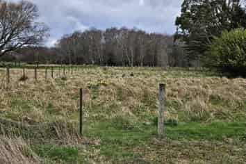 Lot 4 (DP 2758) Cnr Tahakopa Valley and Dewe Road, Tahakopa Valley
