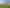215 Allen and Eyre Road, Onewhero