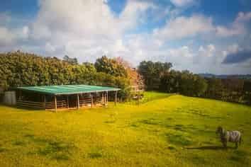 298 Red Hills Road, Taupaki