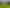 327 Bushy Park Road, Kai Iwi