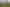 Bay of Plenty - Address withheld
