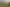 Bay of Plenty - Address withheld