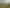 Bay of Plenty - Address withheld