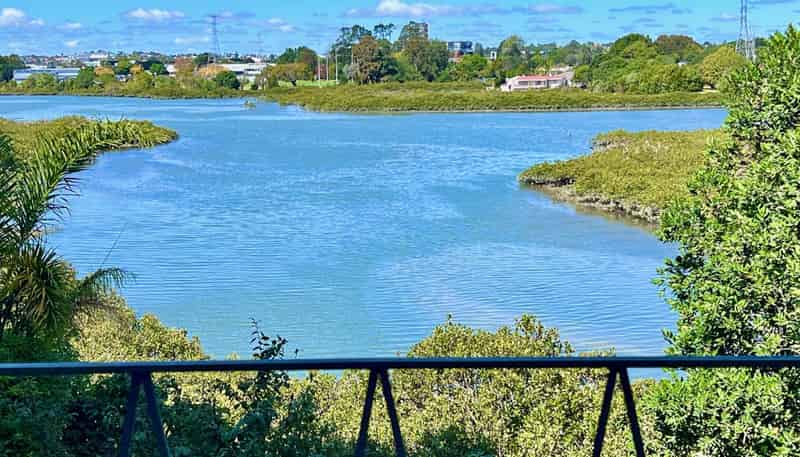 14 Te Wiata Place, Avondale
