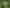 5 Tapu Creek Farms, Tapu