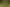 5 Tapu Creek Farms, Tapu