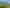 4136 SH23, Raglan