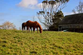 605 Whitford-Maraetai Road, Whitford