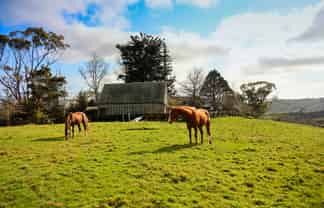 605 Whitford-Maraetai Road, Whitford
