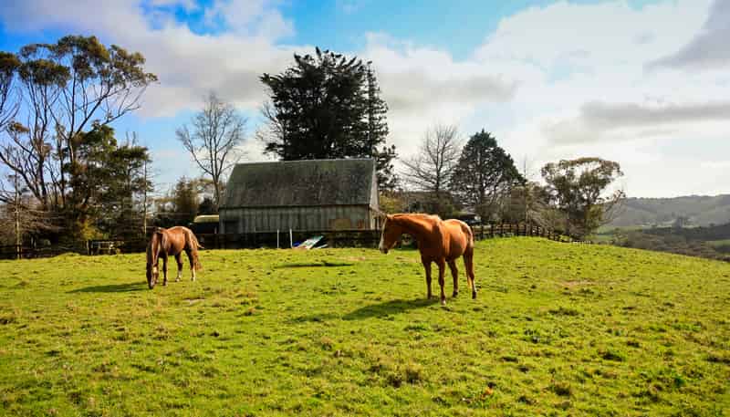 605 Whitford-Maraetai Road, Whitford