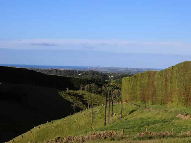 1042 Rangiuru Road, Te Puke