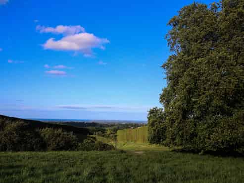 1042 Rangiuru Road, Te Puke