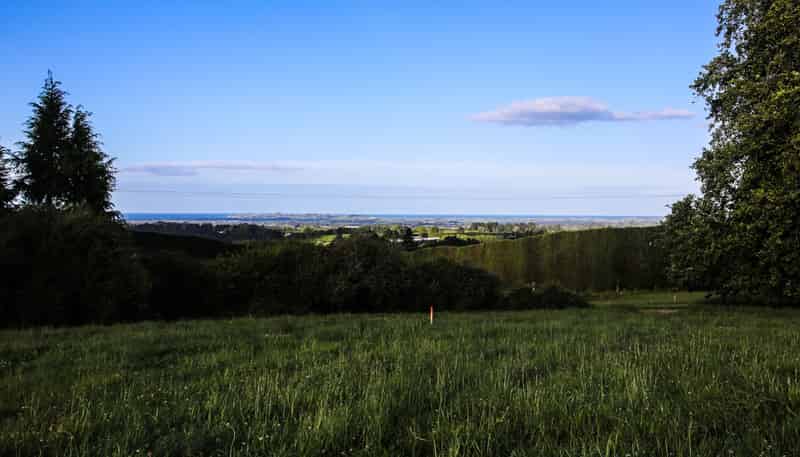 1042 Rangiuru Road, Te Puke