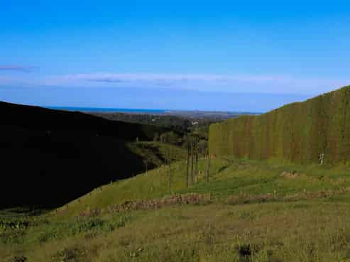 1042 Rangiuru Road, Te Puke