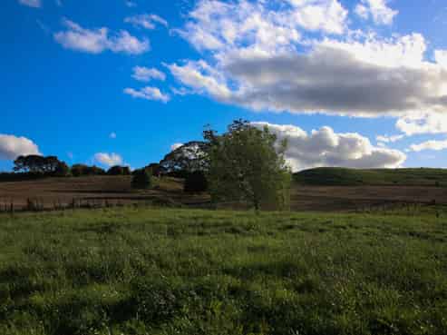 1042 Rangiuru Road, Te Puke