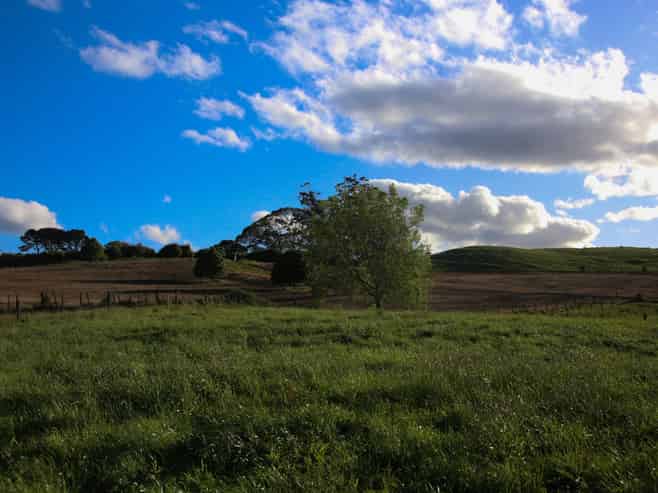 1042 Rangiuru Road, Te Puke