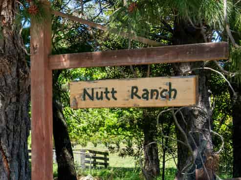 191 Tyntesfield Road, Waihopai Valley