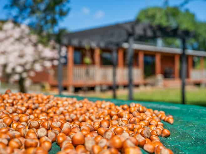 191 Tyntesfield Road, Waihopai Valley
