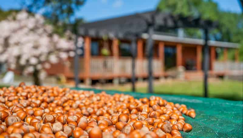 191 Tyntesfield Road, Waihopai Valley