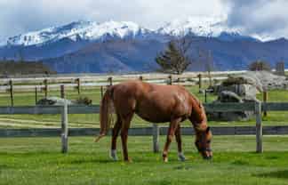 182 Stevenson Road, Wanaka