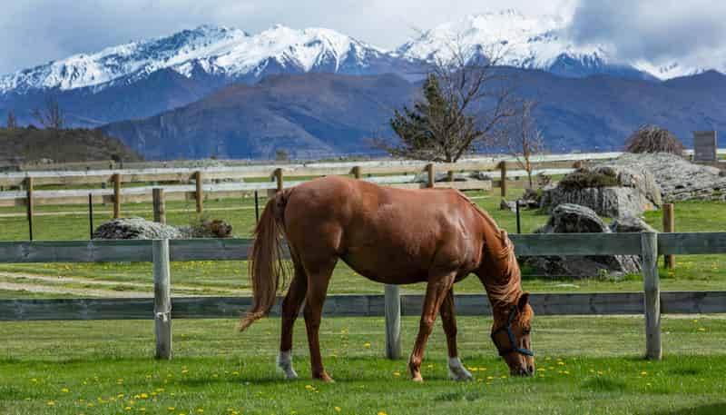 182 Stevenson Road, Wanaka