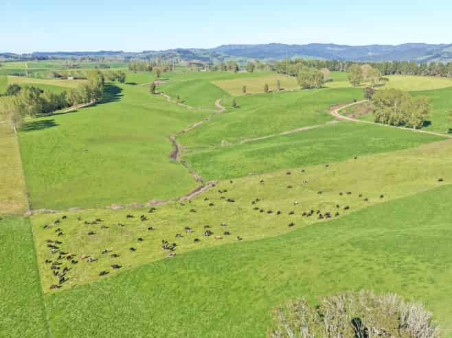 74A Turoto Road, Honikiwi, R D 3, Otorohanga