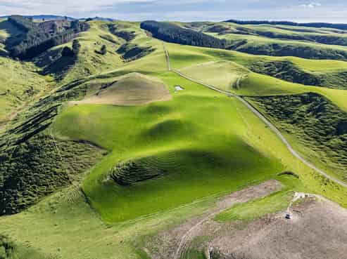 463 Dog Kennel Road, Ikawai