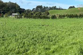 0pp/379 Corbett Road, Lepperton