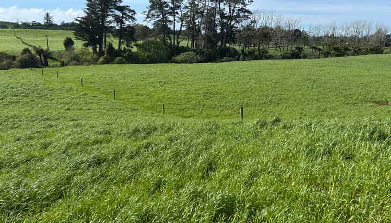 0pp/379 Corbett Road, Lepperton