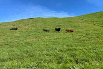 0pp/379 Corbett Road, Lepperton