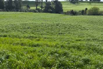 0pp/379 Corbett Road, Lepperton