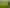 715 Back Ormond Road, Makauri