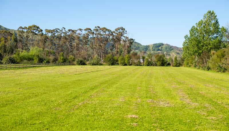 715 Back Ormond Road, Makauri