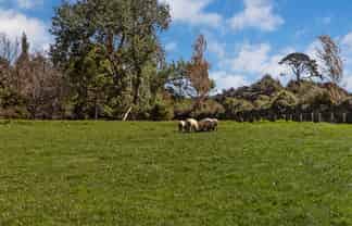 267 Union Road, Mauku