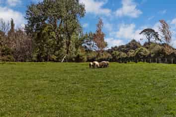 267 Union Road, Mauku