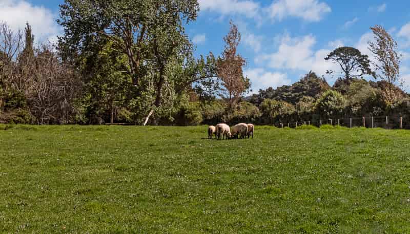 267 Union Road, Mauku