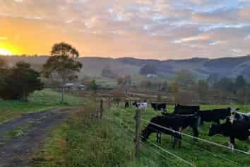 915 Waikare Road, Waerenga